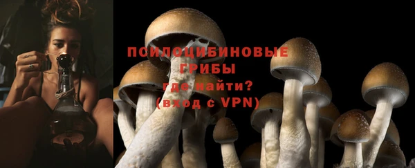 гидропоника Покров