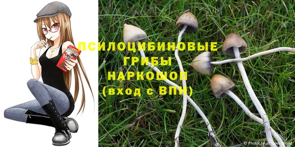 первитин Покачи