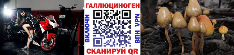 Галлюциногенные грибы мицелий Александровск