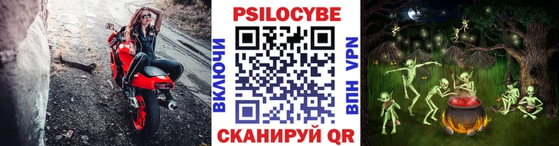 Галлюциногенные грибы прущие грибы  Александровск 